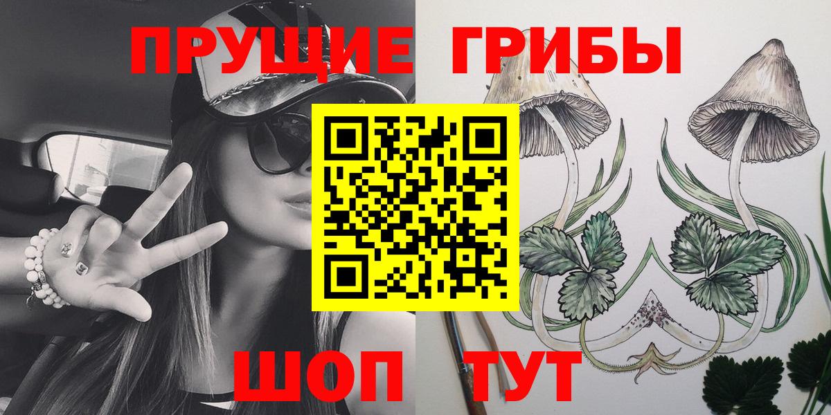 Псилоцибиновые грибы Psilocybine cubensis Богданович