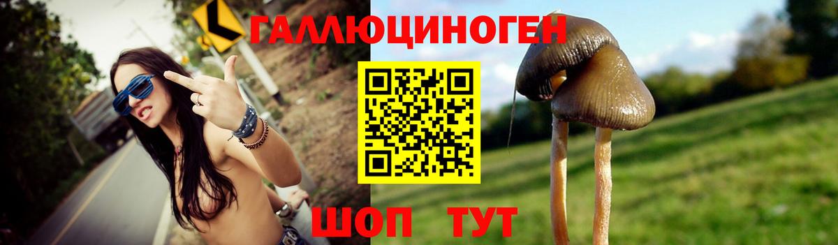 Галлюциногенные грибы Psilocybe  купить наркотики сайты  Богданович  Вход с VPN 